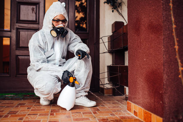 Reliable Cockroach Control contractor in Marlton, MD by Nex Pest Control